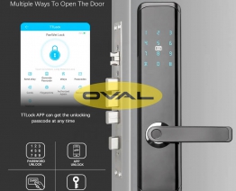 Khoá cửa Oval Smart Lock OV1821
