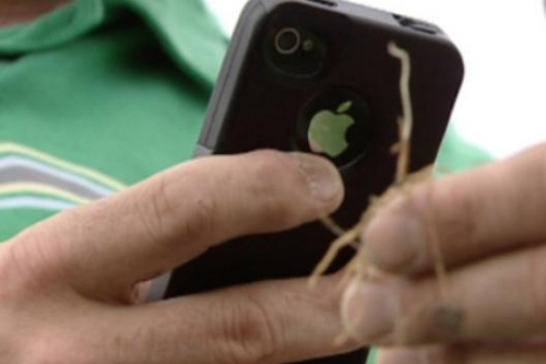 Smartphone giúp nông dân Mỹ tăng hiệu quả trồng trọt